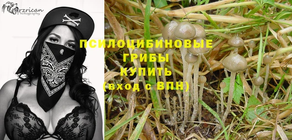 гашик Тольятти