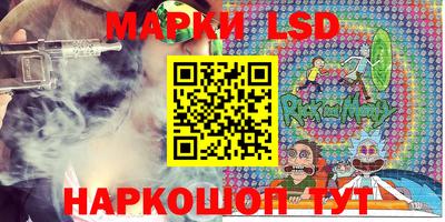 стаф Краснодар