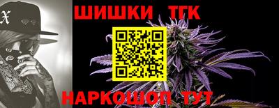 индика Краснокаменск