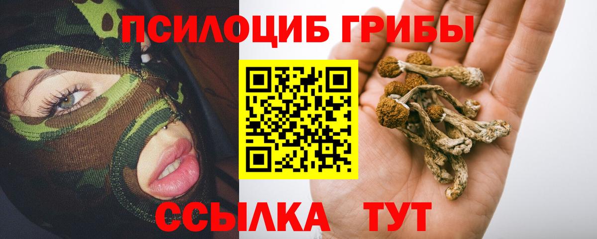 Липецк  Псилоцибиновые грибы мухоморы  Галлюциногенные грибы мицелий  Вход с VPN 