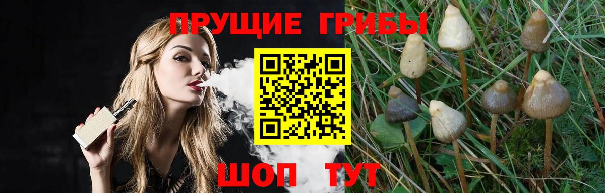 Псилоцибиновые грибы мухоморы Липецк